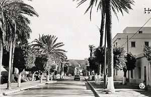 Arzew 511- Ae de la Liberation COLLECTION DES AMIS DE ND DE SANTA CRUZ